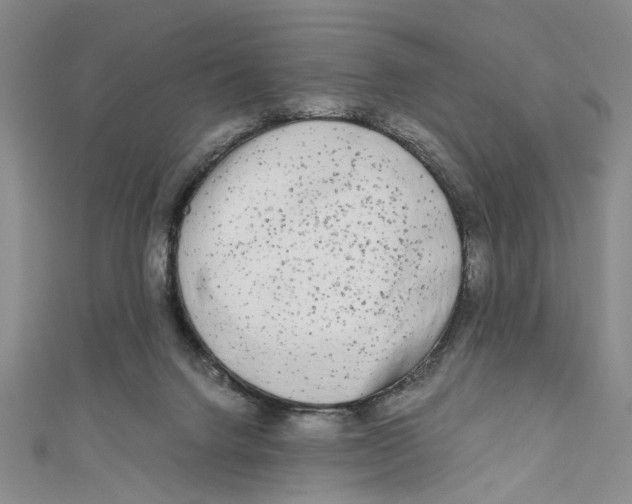 X0000110950072200907171637