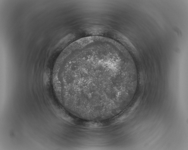 X0000110950073200907171637