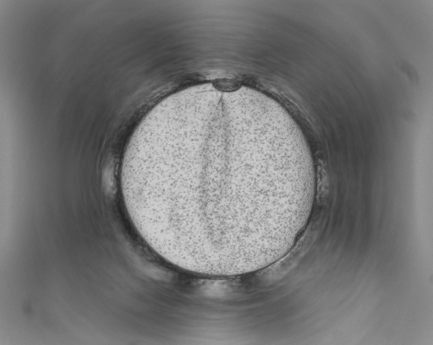X0000110950074200907171637