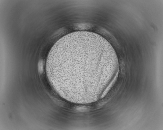 X0000110950075200907171637