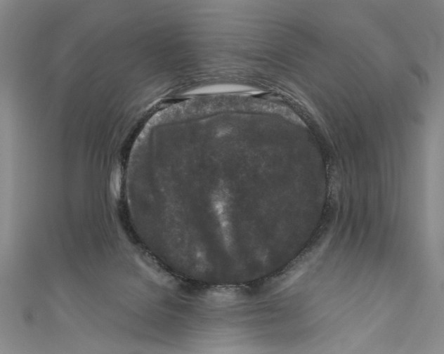 X0000110950076200907171637