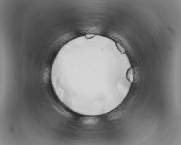 X0000110950077200907171637