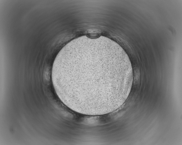X0000110950078200907171637