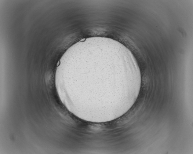 X0000110950079200907171637