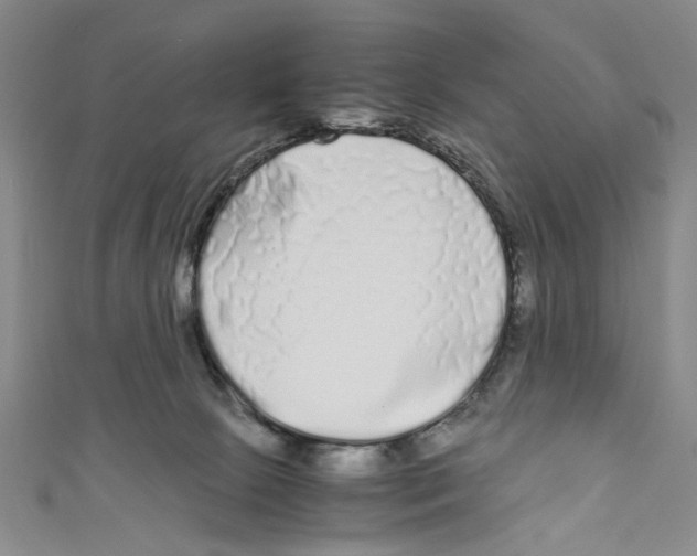 X0000110950081200907171637
