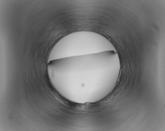 X0000110950084200907171637