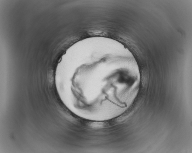 X0000110950085200907171637