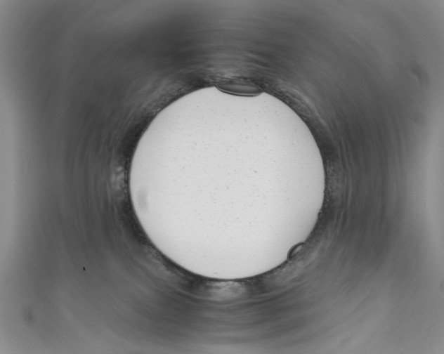 X0000110950087200907171637