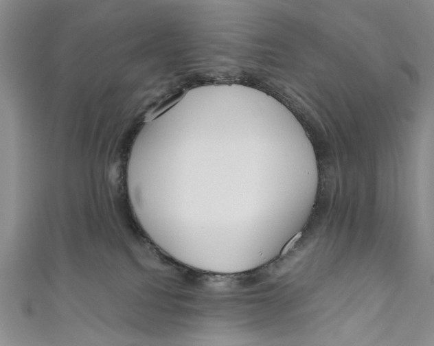 X0000110950088200907171637