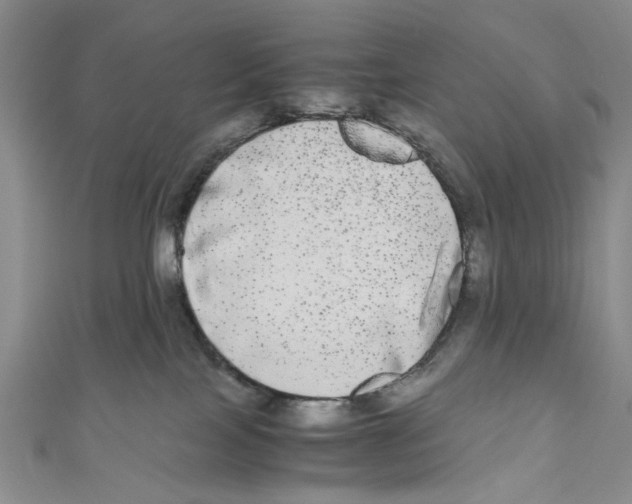 X0000110950089200907171637