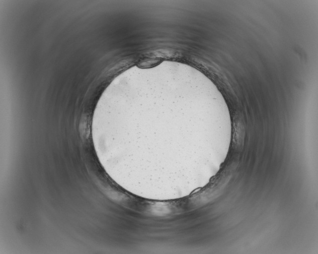 X0000110950091200907171637