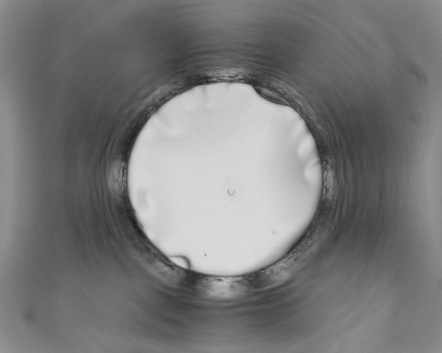 X0000110950093200907171637