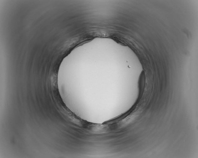 X0000110950096200907171637