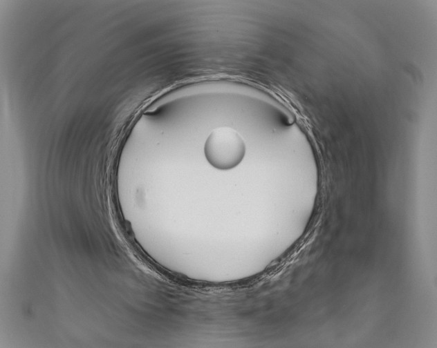 X0000110950097200907171637