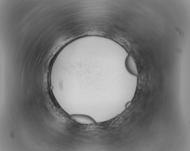 X0000110950098200907171637