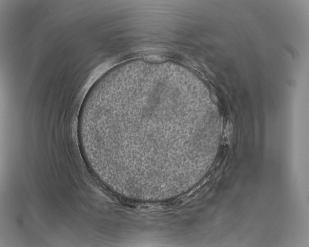 X0000110950099200907171637