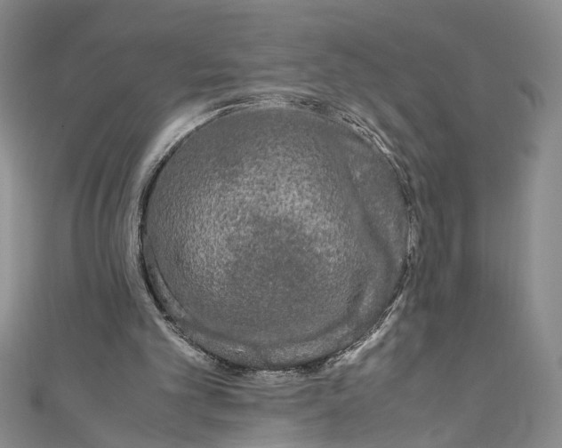 X0000110950101200907171637
