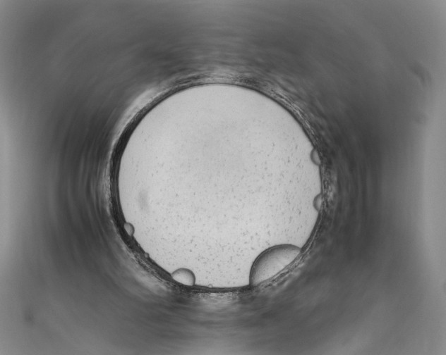X0000110950102200907171637