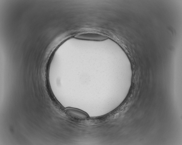 X0000110950103200907171637