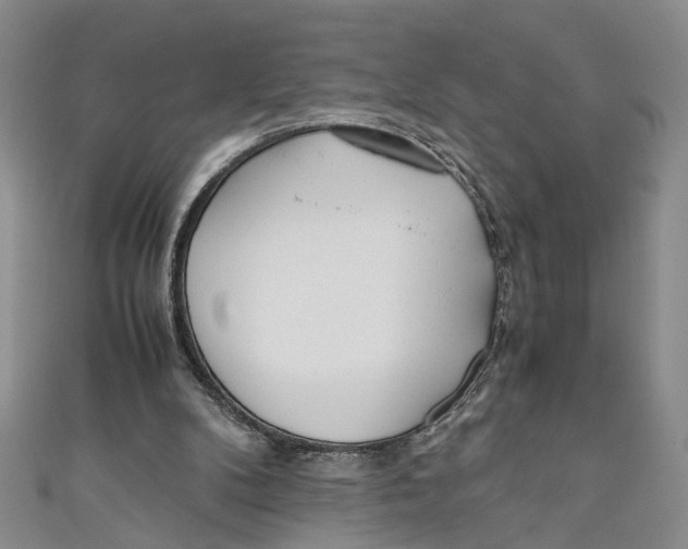 X0000110950104200907171637