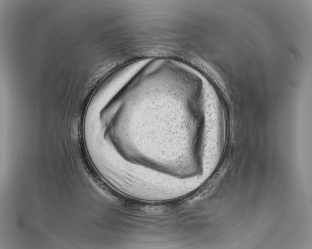 X0000110950105200907171637