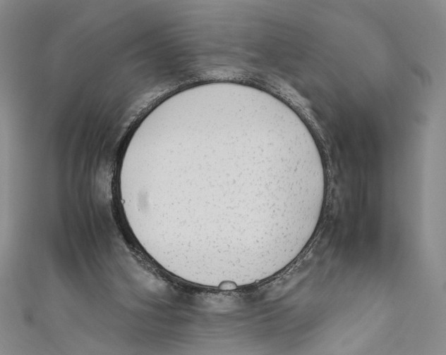 X0000110950106200907171637