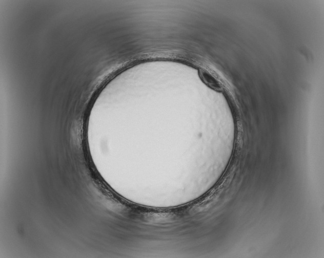 X0000110950107200907171637