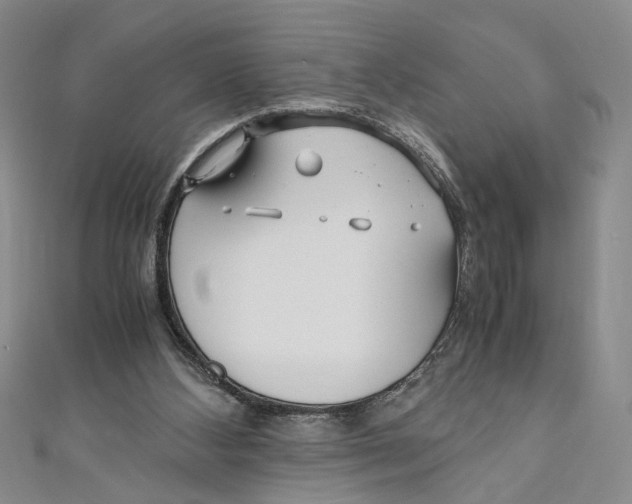 X0000110950108200907171637