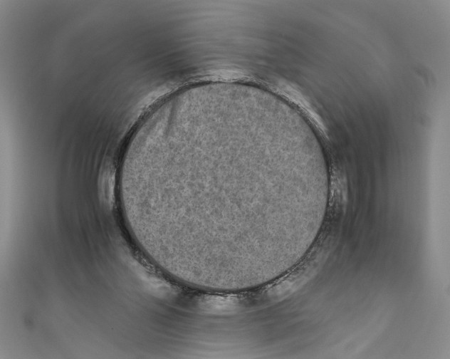 X0000110950110200907171637