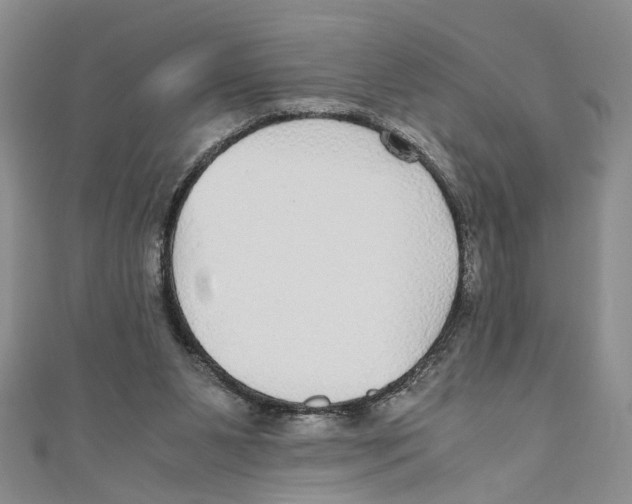 X0000110950111200907171637