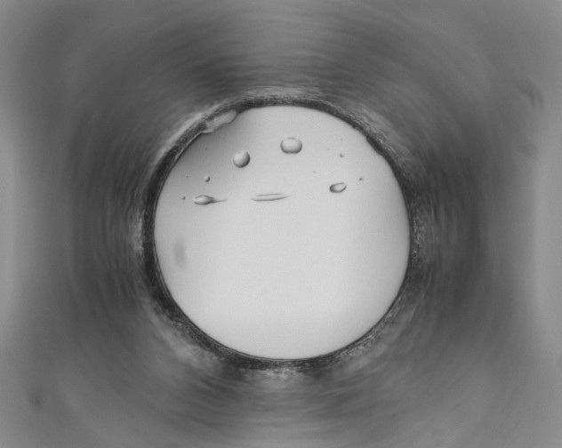 X0000110950112200907171637