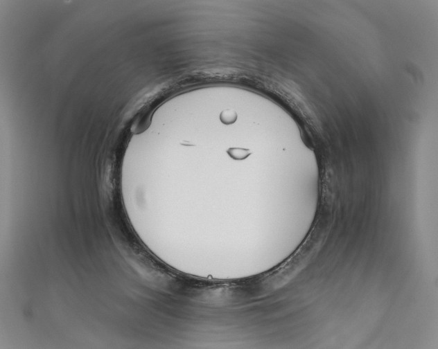 X0000110950116200907171637