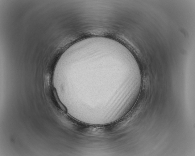 X0000110950117200907171637