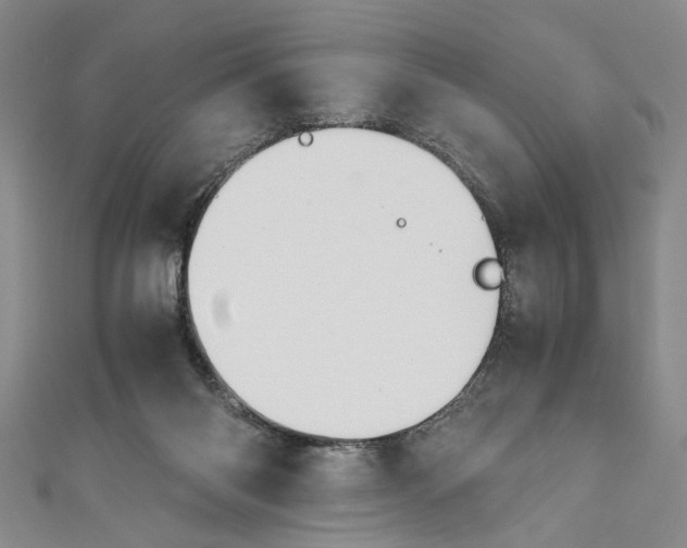 X0000110950118200907171637