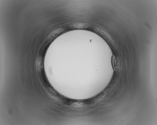 X0000110950119200907171637