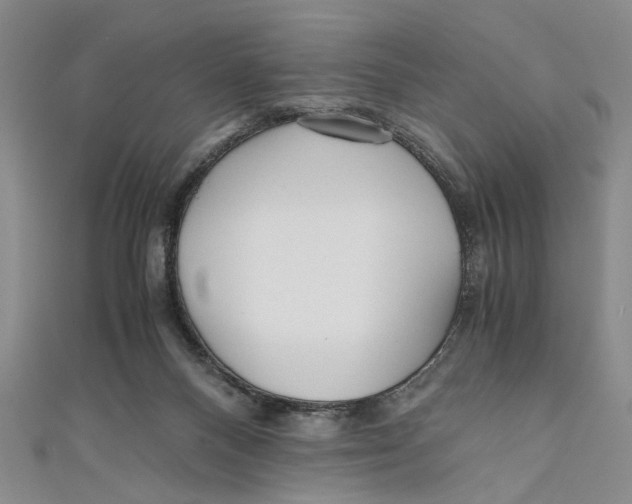 X0000110950120200907171637
