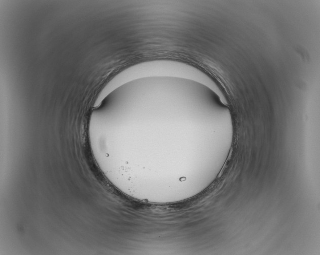 X0000110950121200907171637