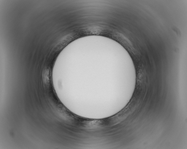 X0000110950122200907171637