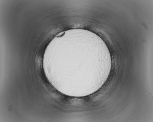 X0000110950123200907171637