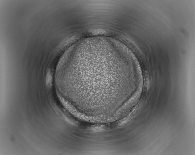 X0000110950124200907171637