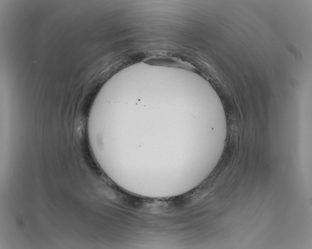 X0000110950125200907171636