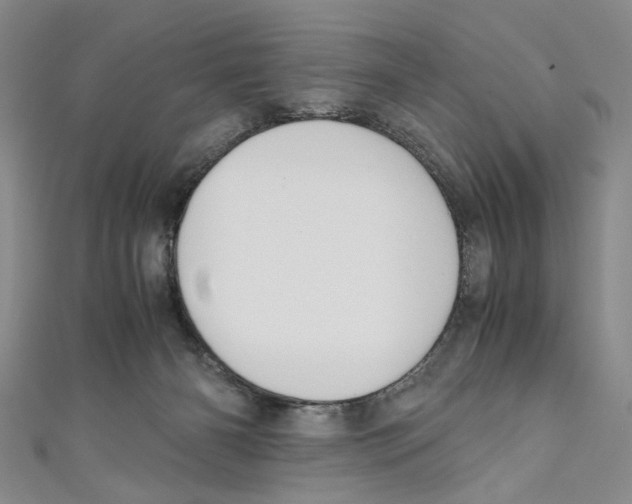 X0000110950126200907171636