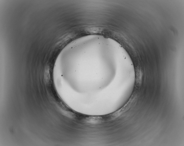 X0000110950128200907171636
