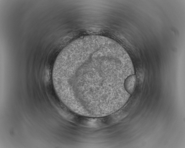 X0000110950130200907171636