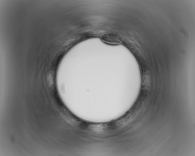 X0000110950131200907171636