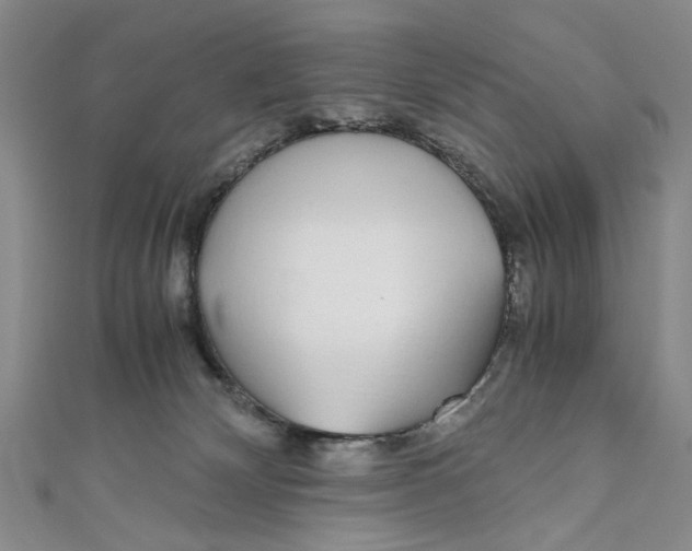 X0000110950132200907171636