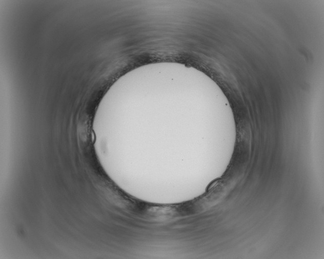 X0000110950133200907171636