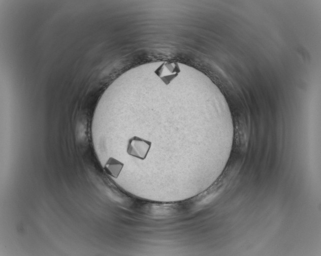 X0000110950134200907171636