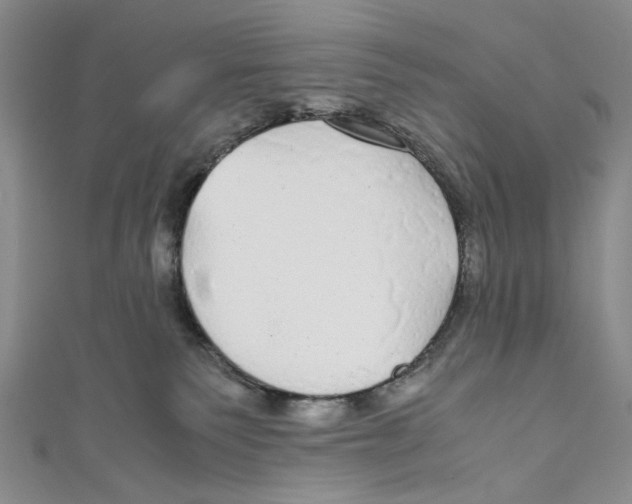 X0000110950135200907171636