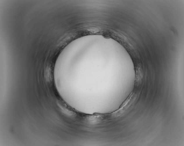 X0000110950136200907171636
